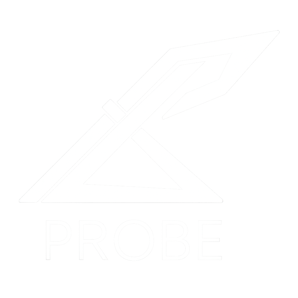 Probe